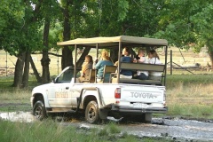 Africká savana. Foto (c) Tomáš Hajnyš