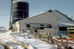 Na mléčné farmě v USA. Foto (c) Tomáš Hajnyš